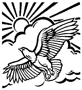 Eagle flying over a sunrise